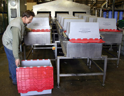 plastic pallet and tray washing